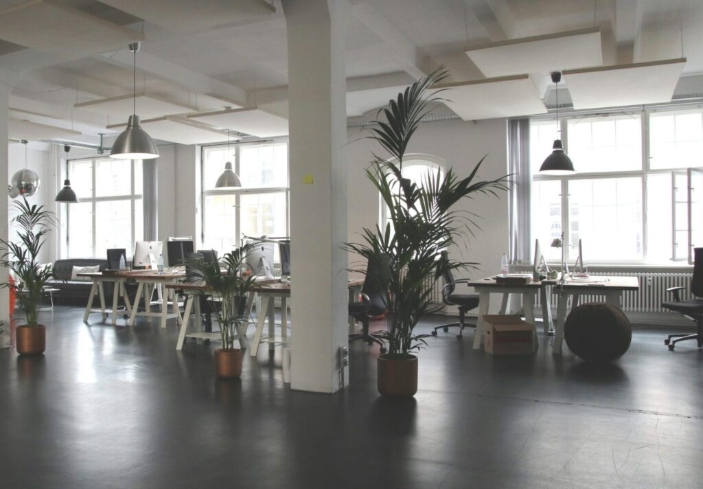 Spacious modern office interior with desks, plants, and natural lighting in Berlin.